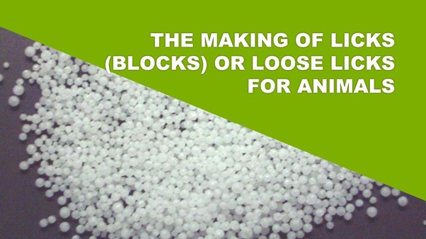 The Making Of Licks (Blocks) Or Loose Licks For Animals
