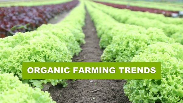Organic farming trends