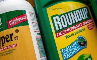 Roundups controversial ingredient glyphosate escapes a ban in Europe