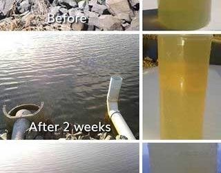 Are your farm dams or animals water troughs suffering?