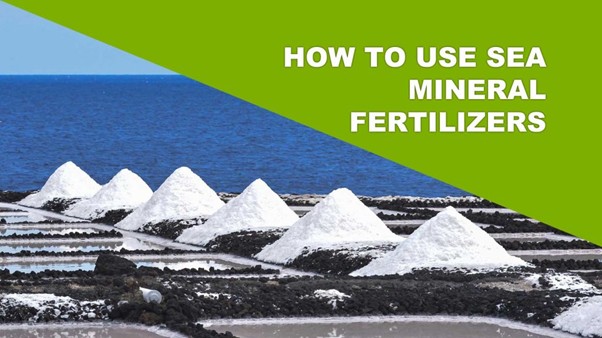 How to use sea mineral fertilizers on plant crops