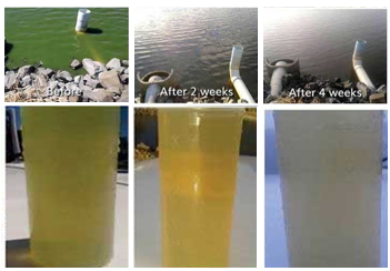 Are your farm dams or animals water troughs suffering?